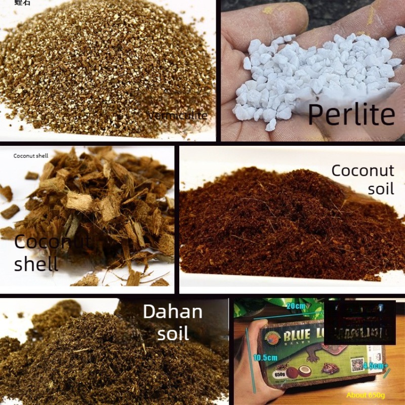 코코넛 토양 벽돌 파충류 배지 거북이 도마뱀 비바리움  - Sphagnum Moss Dry 리뷰 및 가격