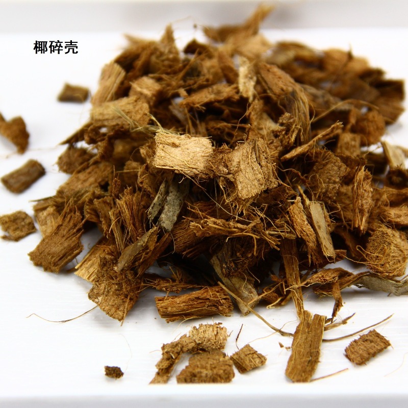 코코넛 토양 벽돌 파충류 배지 거북이 도마뱀 비바리움  - Sphagnum Moss Dry 리뷰 및 가격