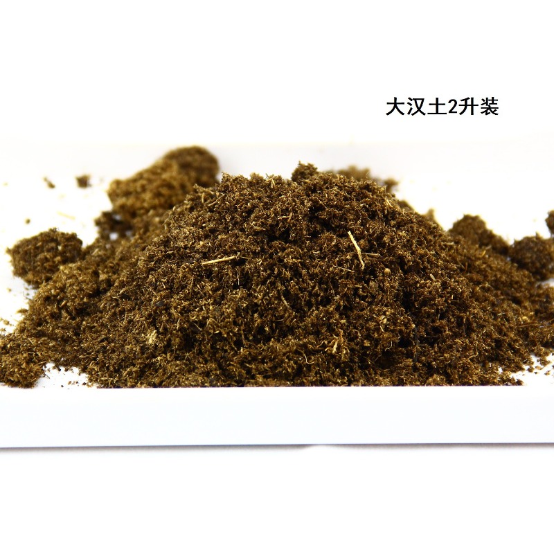 코코넛 토양 벽돌 파충류 배지 거북이 도마뱀 비바리움  - Sphagnum Moss Dry 리뷰 및 가격