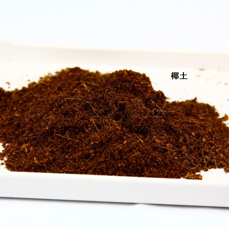 코코넛 토양 벽돌 파충류 배지 거북이 도마뱀 비바리움  - Sphagnum Moss Dry 리뷰 및 가격