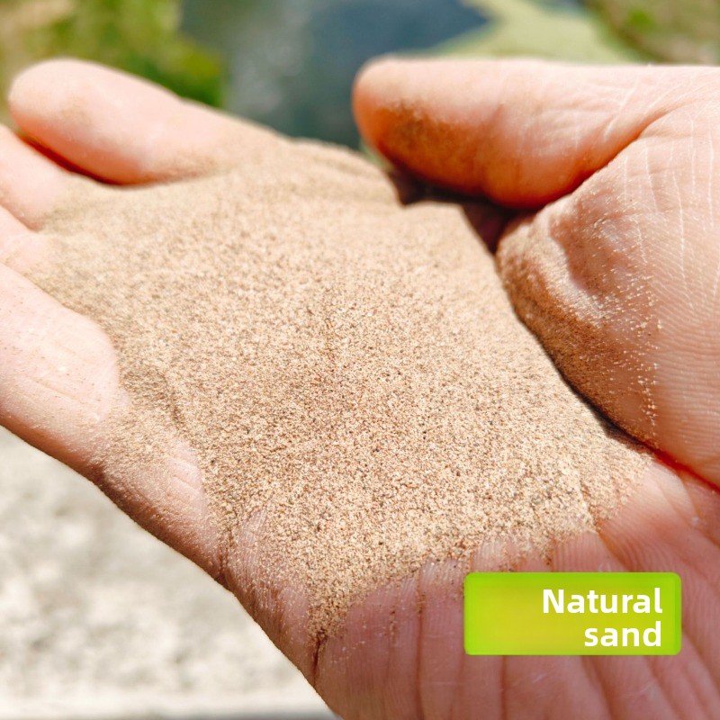 파충류 모래 칼슘 모래, 턱수염도마뱀 사막 서식지 바닥 - Sphagnum Moss Dry 리뷰 및 가격