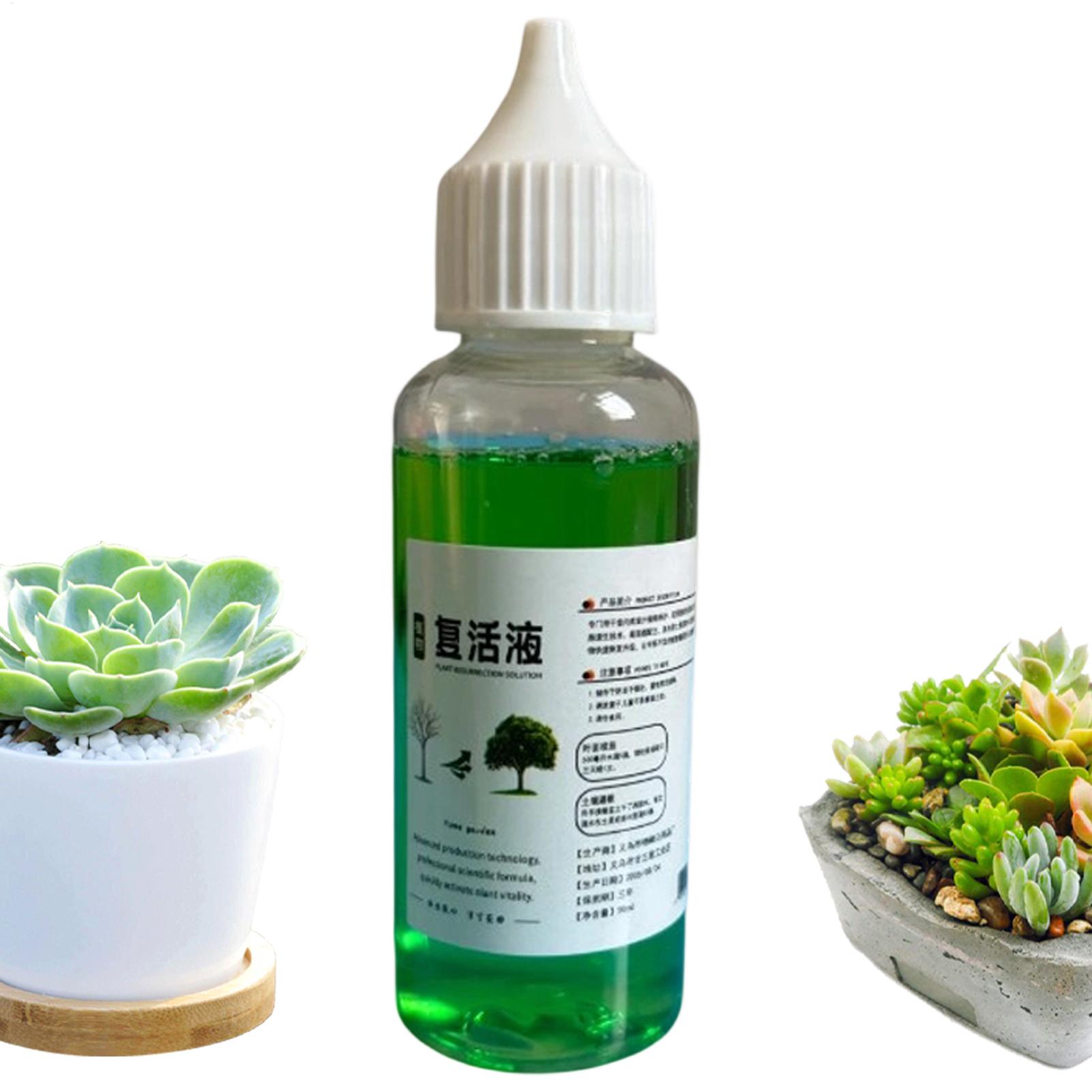 식물용 뿌리 자극제, 액체 형태의 뿌리 발달 촉진제 5 - Root Stimulator Liquid 리뷰 및 가격