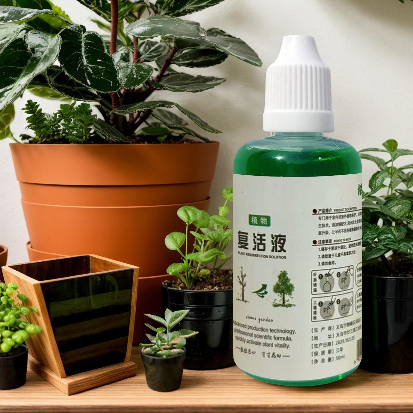 식물 뿌리 영양 비료 50ml 유기농 천연 토양 비료액 - Root Stimulator Liquid 리뷰 및 가격