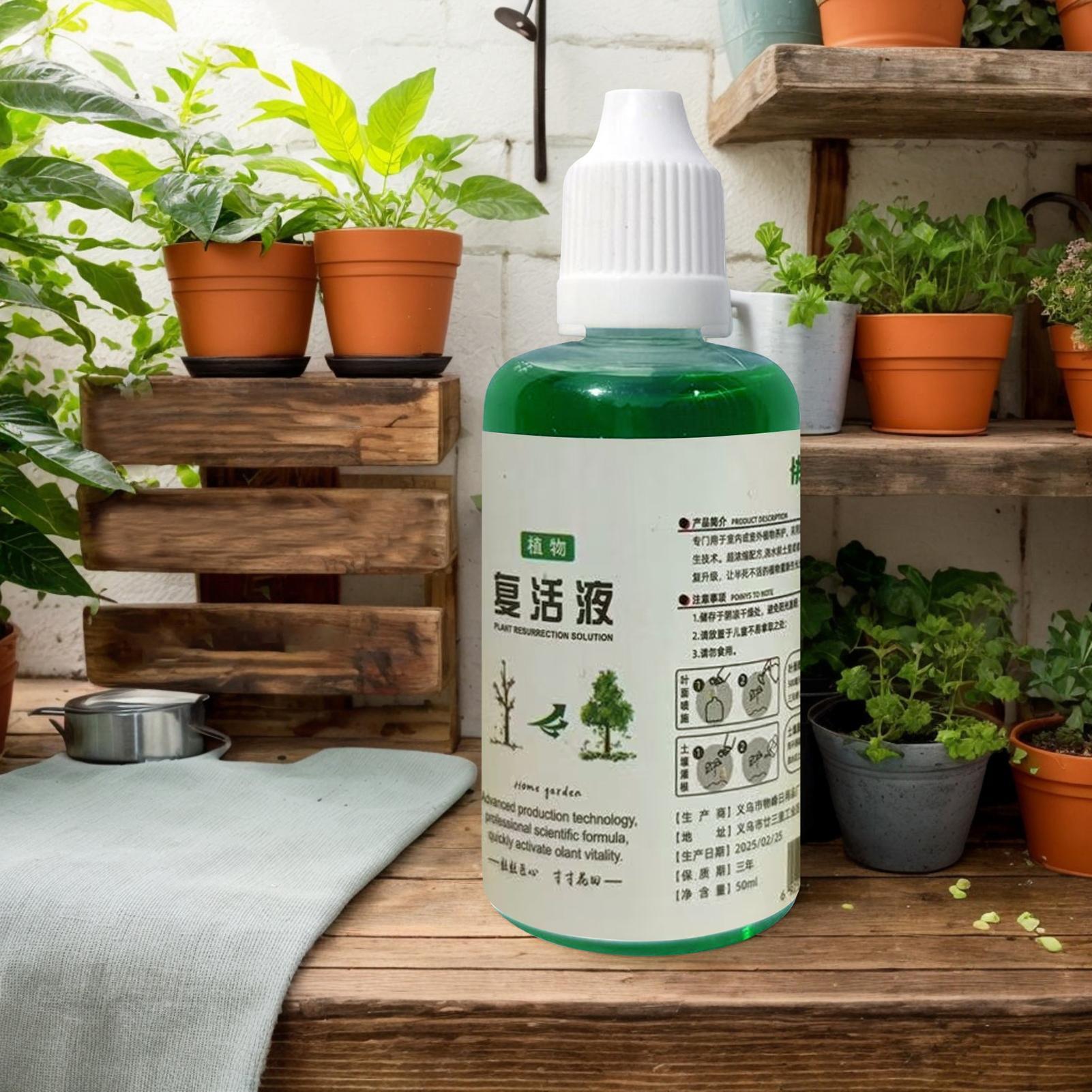 식물 뿌리 영양 비료 50ml 유기농 천연 토양 비료액 - Root Stimulator Liquid 리뷰 및 가격